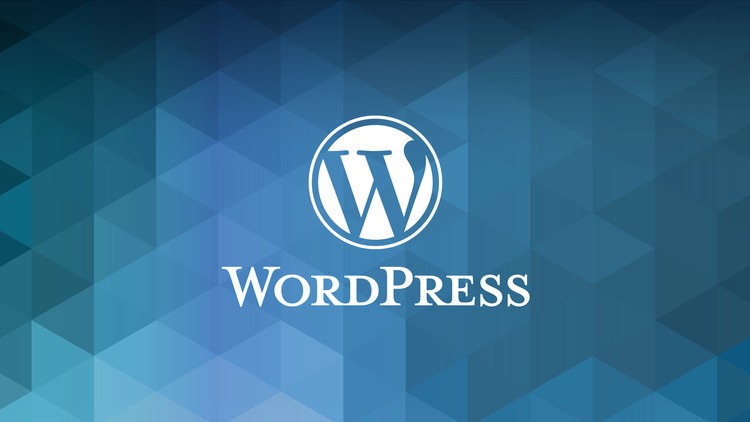 Kullanmakta Olduğunuz WordPress Sürümünü Öğrenme
